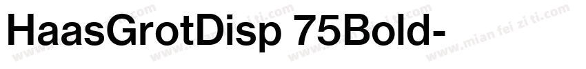 HaasGrotDisp 75Bold字体转换
